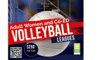 Adult Women and Co Ed Volleyball League 